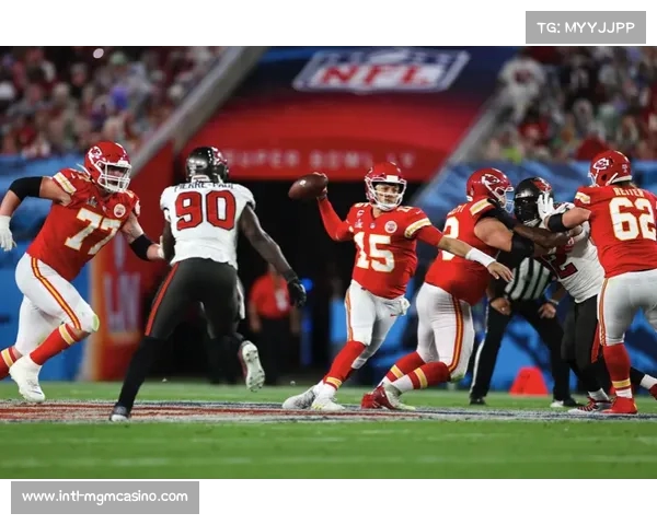 NFL历史夺冠次数排行榜揭示哪些球队称霸风云岁月 NFL历史夺冠次数排行榜揭示哪些球队称霸风云岁月